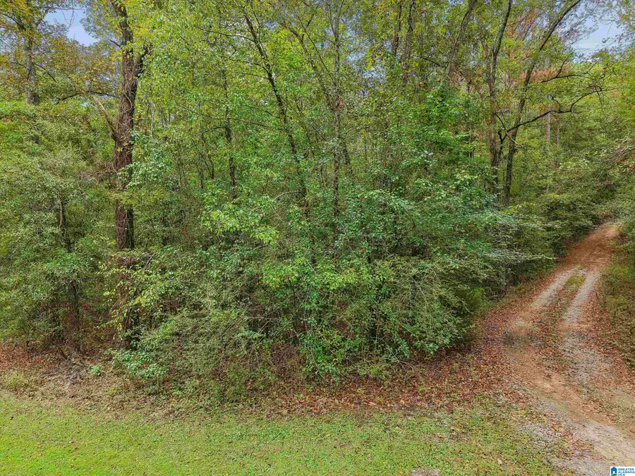 0 LESTER LANE, Childersburg, AL 35044 - #2