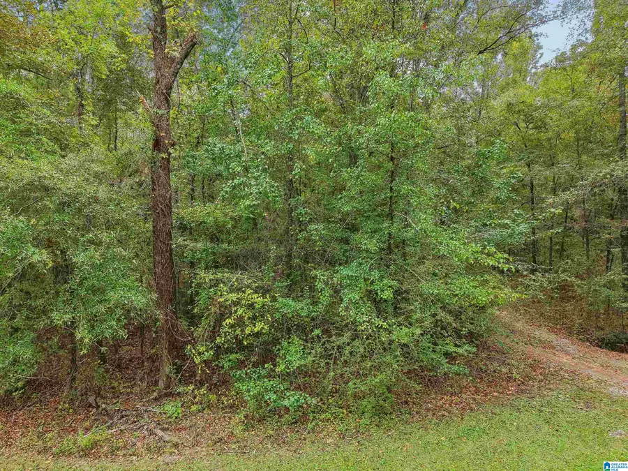 0 LESTER LANE, Childersburg, AL 35044 - #3