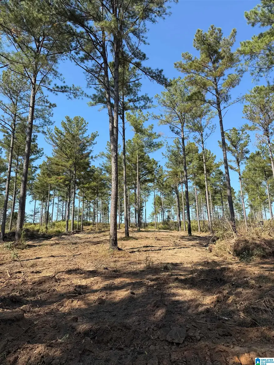 2160 WATTS ROAD, Munford, AL 36268 - #2