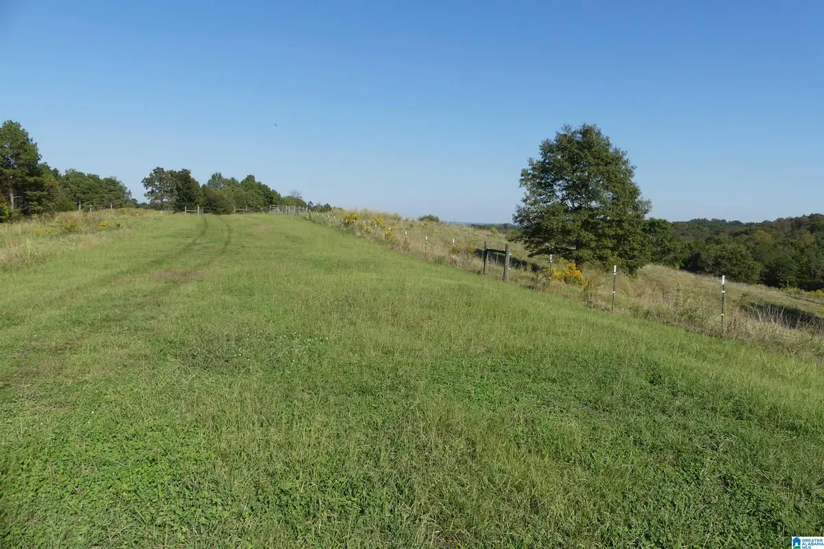 13069 HIGHWAY 48, Wedowee, AL 36278 - #1