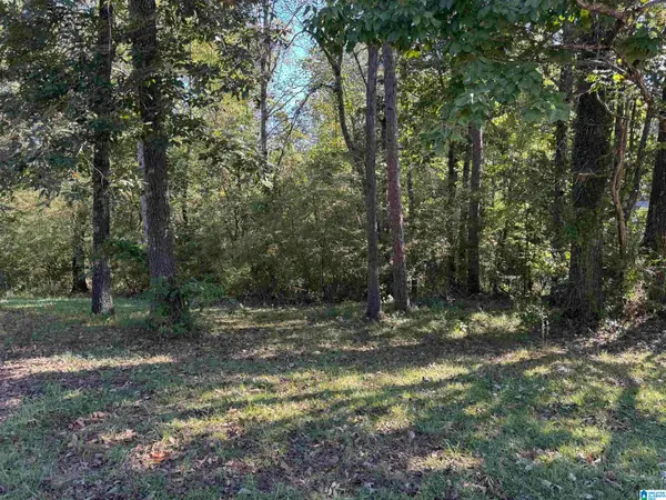 2175 CREEKVIEW LANE, Irondale, AL 35210