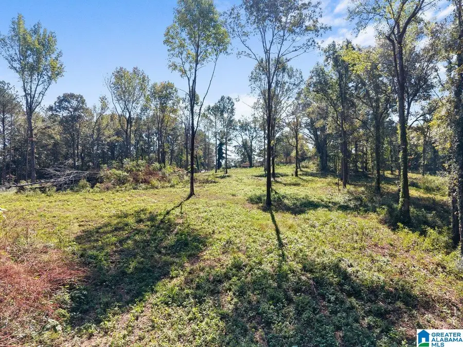 #5 A STREET S, Oneonta, AL 35121 - #3