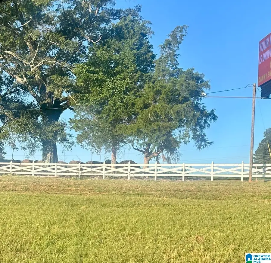 5123 HIGHWAY 431, Alexandria, AL 36250 - #2