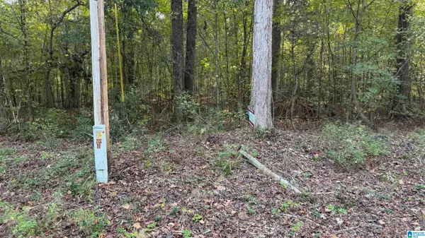 00 SOUTHERN SPORTSMAN LOOP, Livingston, AL 35470