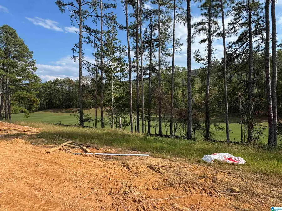 144 SINCLAIR GLEN, Pelham, AL 35124 - #3