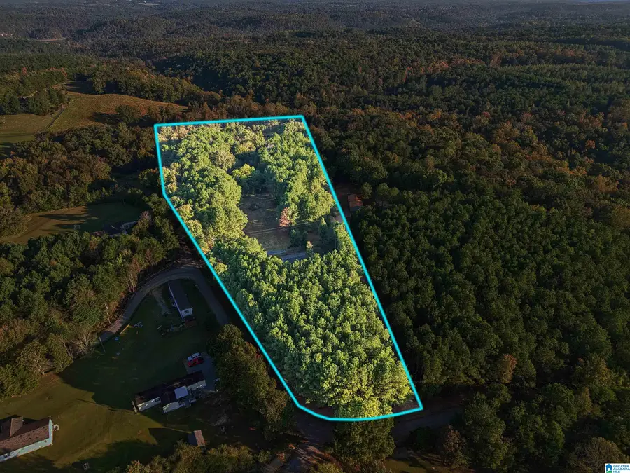 428 OWEN ROAD, Springville, AL 35146 - #2