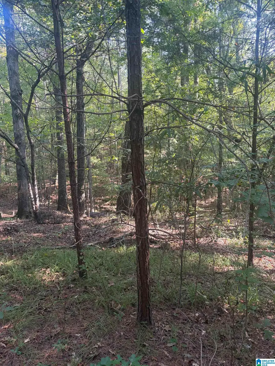 7925 COUNTY ROAD 66, Heflin, AL 36264 - #2