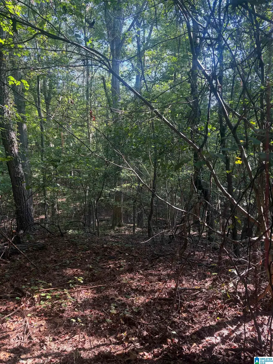 7925 COUNTY ROAD 66, Heflin, AL 36264 - #3