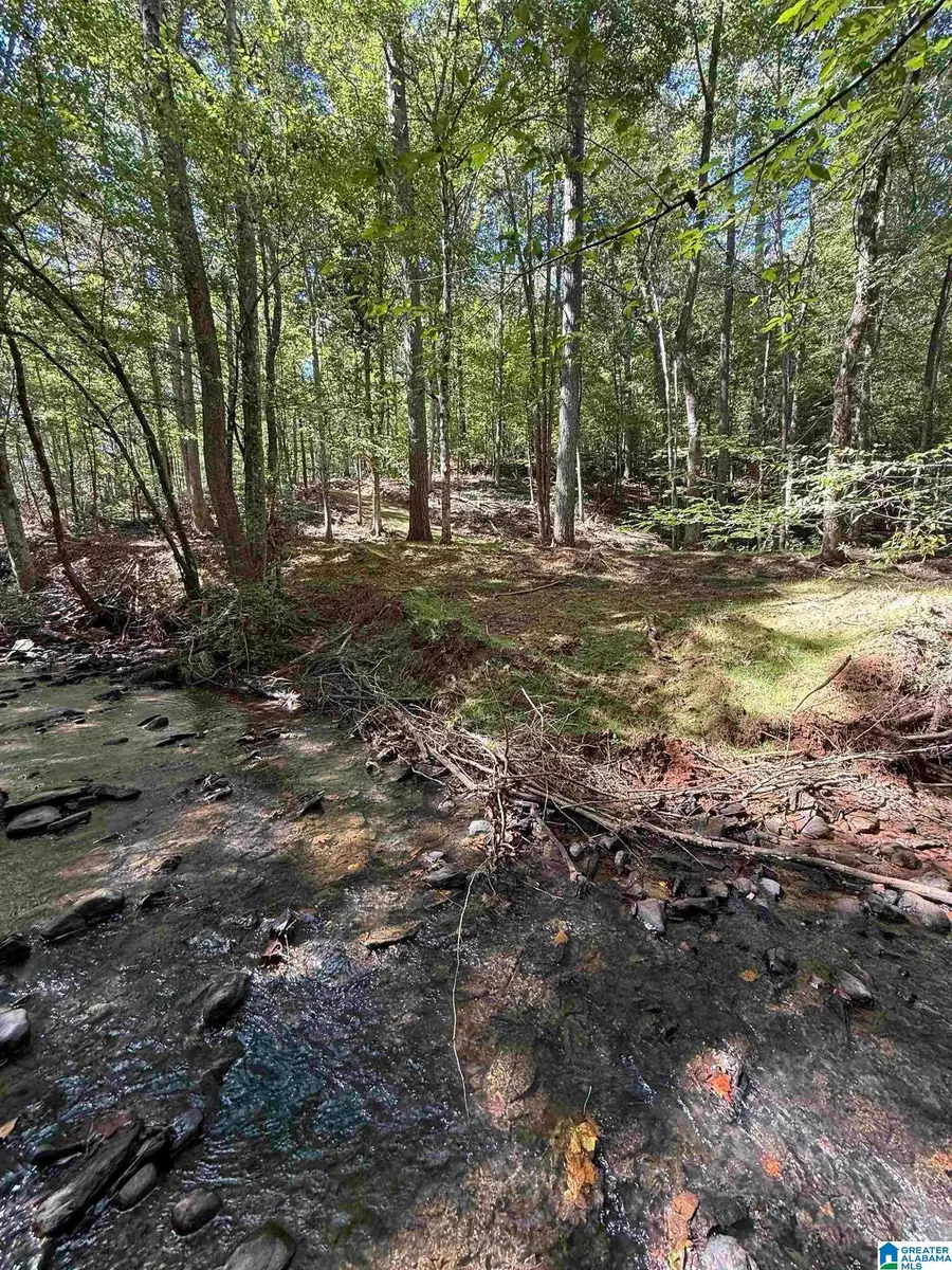 76 COUNTY ROAD 19, Heflin, AL 36264 - #2