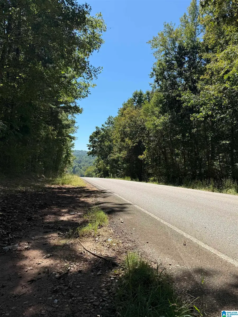 76 COUNTY ROAD 19, Heflin, AL 36264 - #3