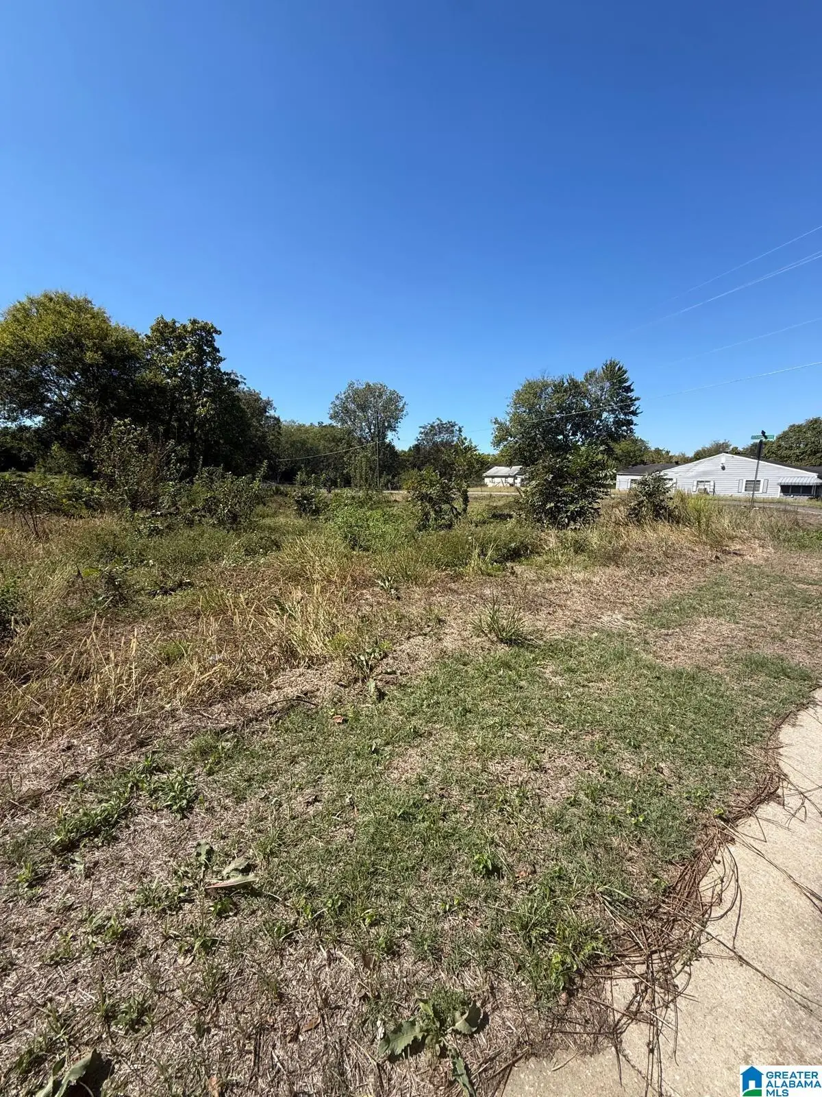 329 MILLVALE STREET, Birmingham, AL 35224 - #1