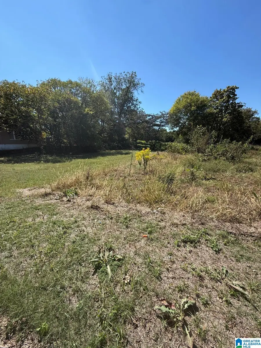 329 MILLVALE STREET, Birmingham, AL 35224 - #2