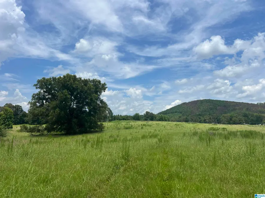 4540 RISER MILL ROAD, Alpine, AL 35014 - #2