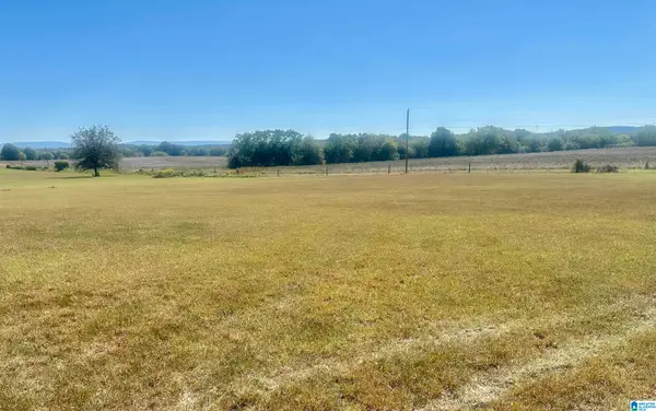 180 CURRY CREEK ROAD, Munford, AL 36268
