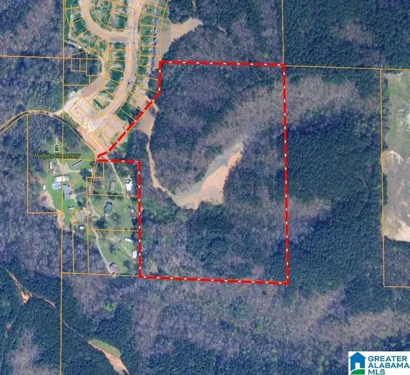 4092 BROOKSIDE DRIVE, Mount Olive, AL 35117 - #1