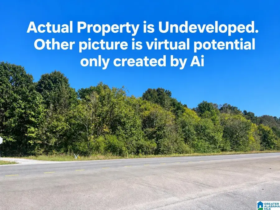 0 SINGLE TREE ROAD, Harpersville, AL 35078 - #2