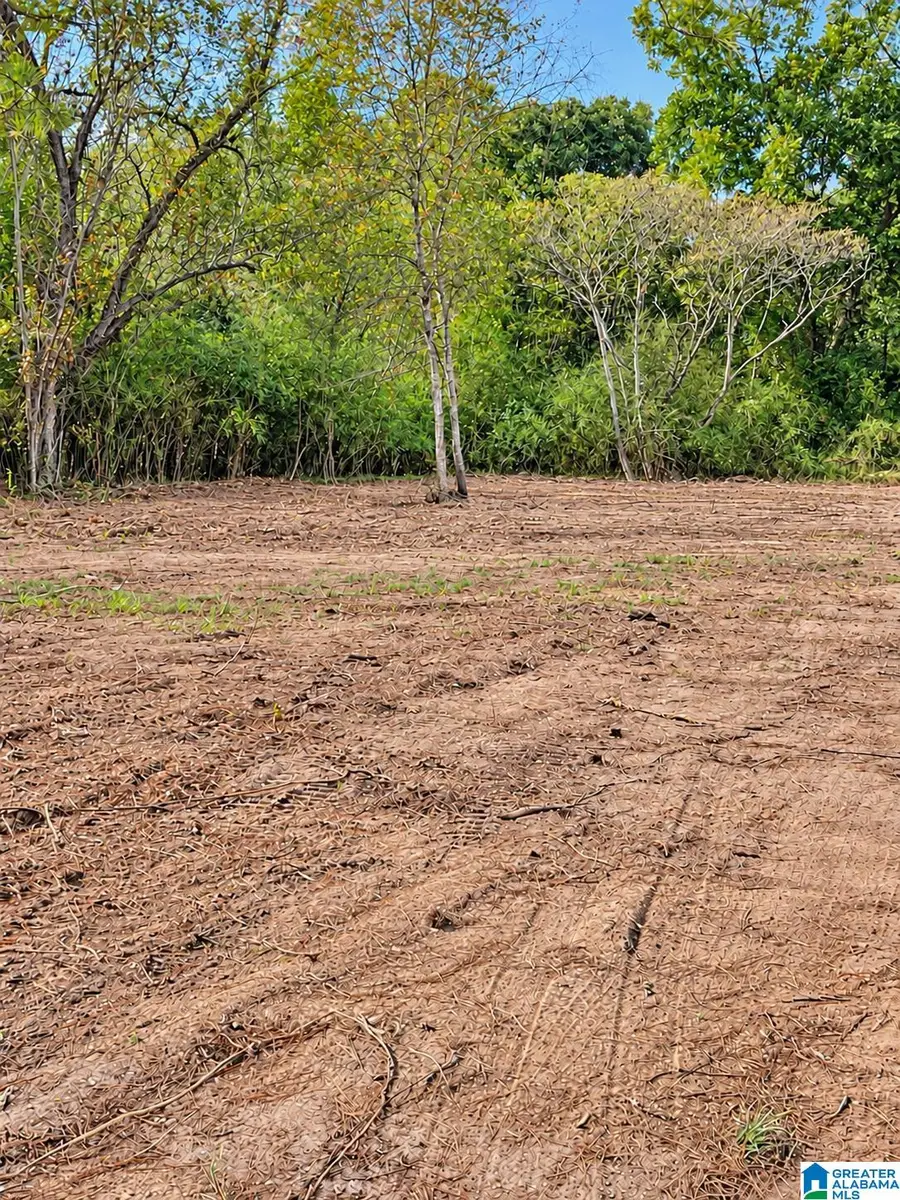 0 COUNTY ROAD 59, Verbena, AL 36091 - #3