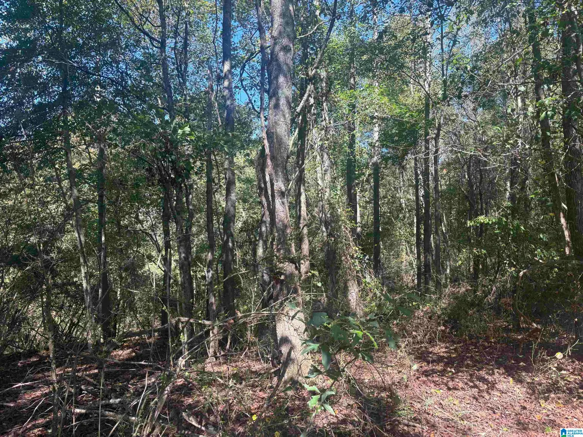 15 +/- Acres COUNTY ROAD 619, Heflin, AL 36273 - #1