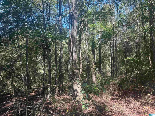 15 +/- Acres COUNTY ROAD 619, Heflin, AL 36273