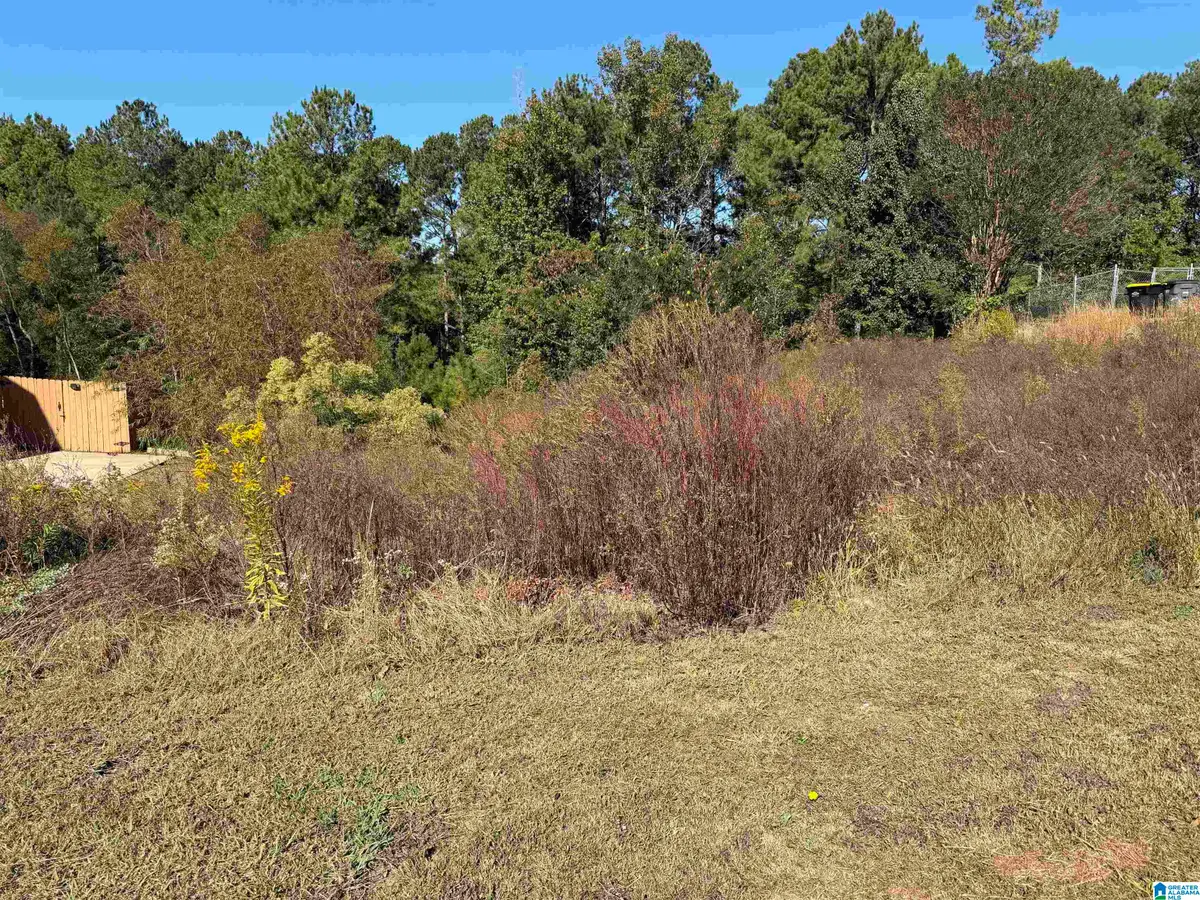 250 LAKESIDE DRIVE, Odenville, AL 35120 - #1