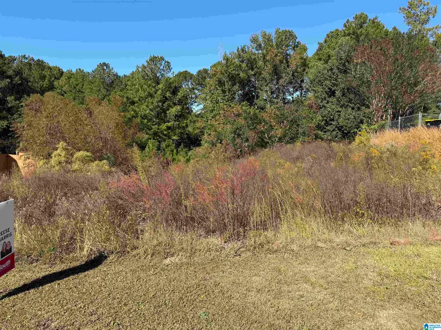 250 LAKESIDE DRIVE, Odenville, AL 35120 - #2