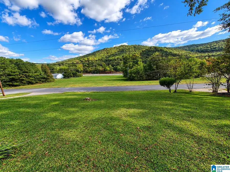 3812 GRAND AVENUE SW, Fort Payne, AL 35967 - #2