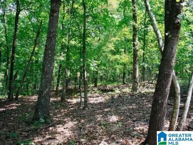 0 MOUNTAIN VIEW TERRACE, Talladega, AL 35160 - #1