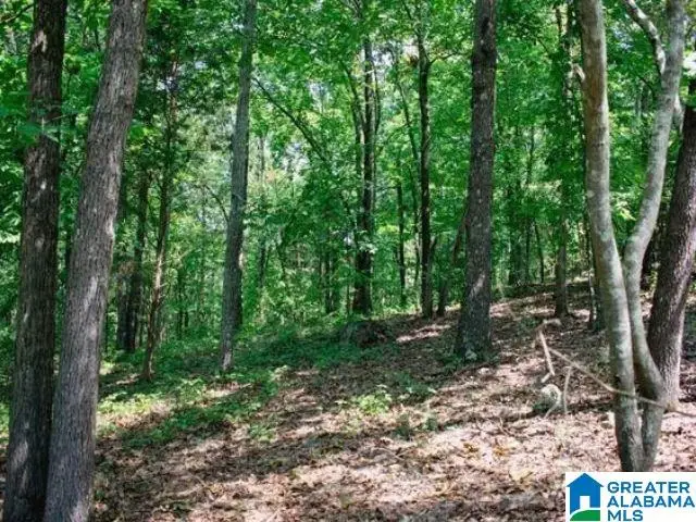 0 MOUNTAIN VIEW TERRACE, Talladega, AL 35160 - #2