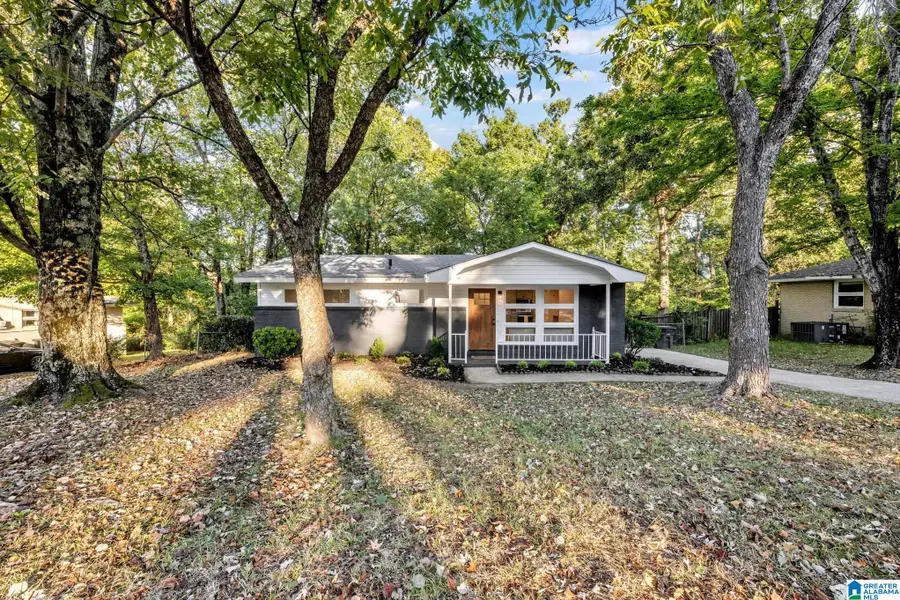 4920 SCENIC VIEW DRIVE, Irondale, AL 35210 - #2