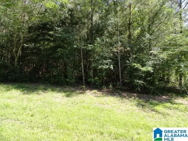 1020 BOONE DRIVE, Adamsville, AL 35005