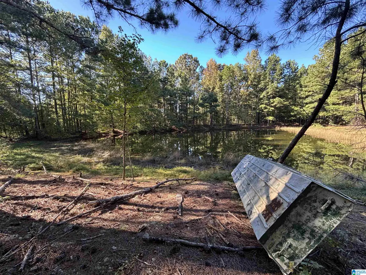 0 COKER ROAD, Altoona, AL 35952 - #1
