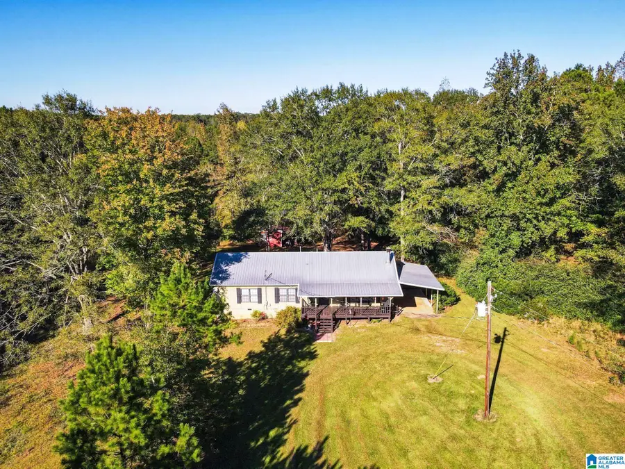 1621 BIG SPRINGS ROAD, Ashland, AL 36251 - #2