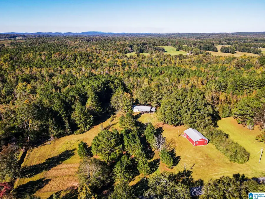 1621 BIG SPRINGS ROAD, Ashland, AL 36251 - #3