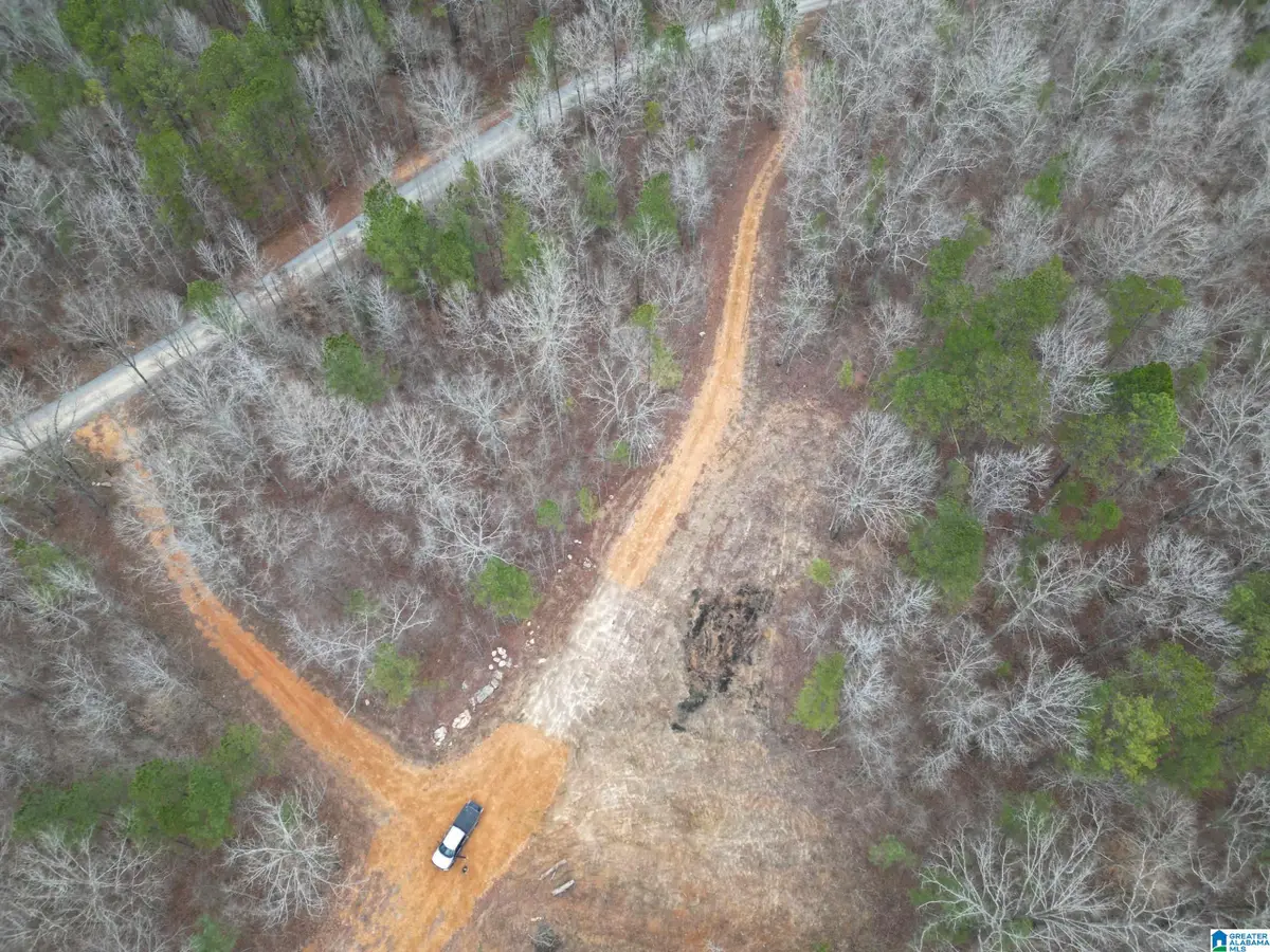 245 BROWNS VALLEY ROAD, Pell City, AL 35128 - #1