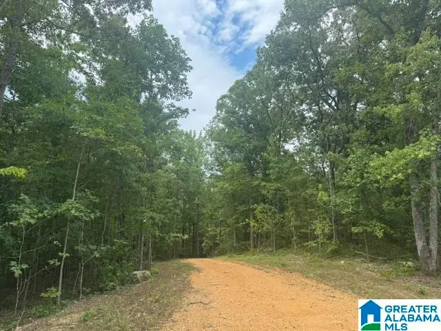 245 BROWNS VALLEY ROAD, Pell City, AL 35128 - #2