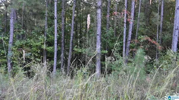 WILLOWBROOK COURT, Cleveland, AL 35049