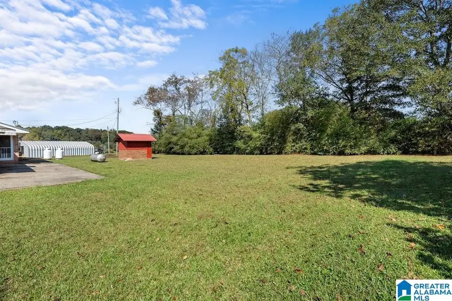 20679 MAIN STREET, Ranburne, AL 36273 - #3