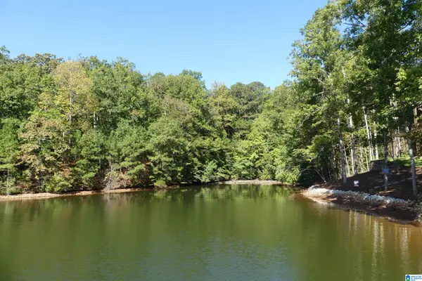 LOT 1 & 2 WARREN ROAD, Wedowee, AL 36278