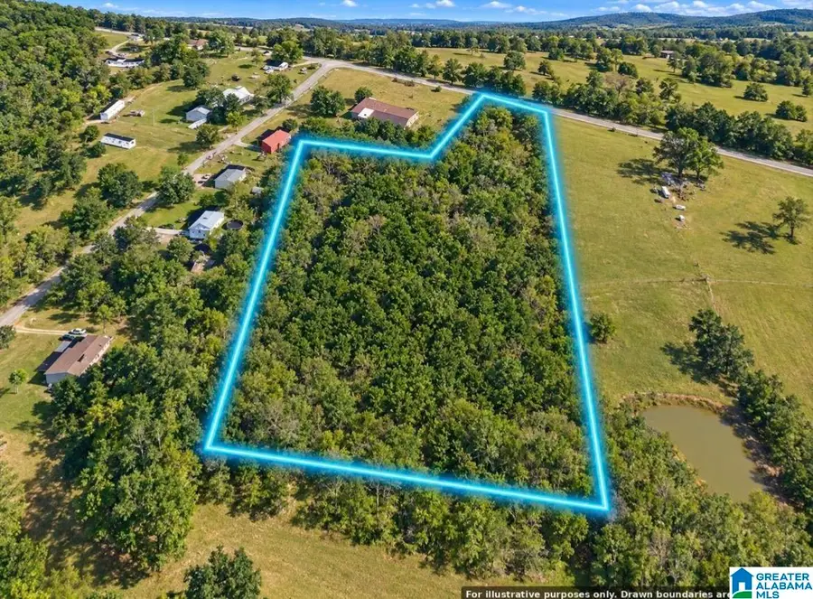 5730 OLD PIEDMONT GADSDEN HIGHWAY, Piedmont, AL 36272 - #2
