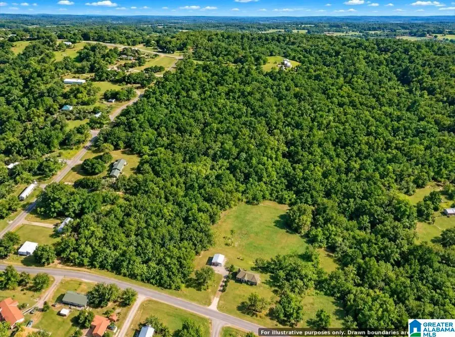 707 BUTTER & EGG ROAD, Columbiana, AL 35051 - #2