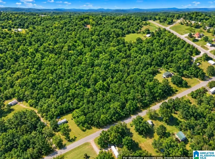 707 BUTTER & EGG ROAD, Columbiana, AL 35051 - #3