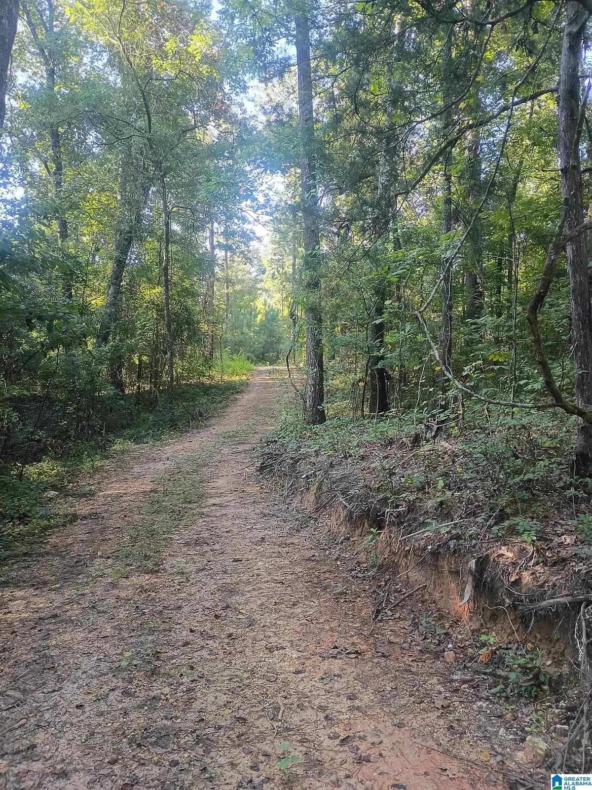 425 MCKESIE STREET, Riverside, AL 35135 - #1
