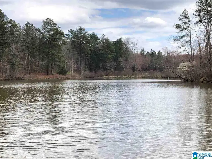 12787 COUNTY ROAD 49, Heflin, AL 36264 - #2