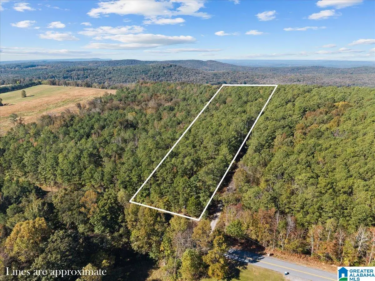 0 COUNTY HIGHWAY 45, Hayden, AL 35079 - #1