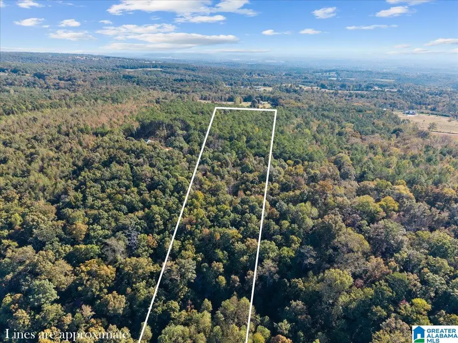 0 COUNTY HIGHWAY 45, Hayden, AL 35079 - #2