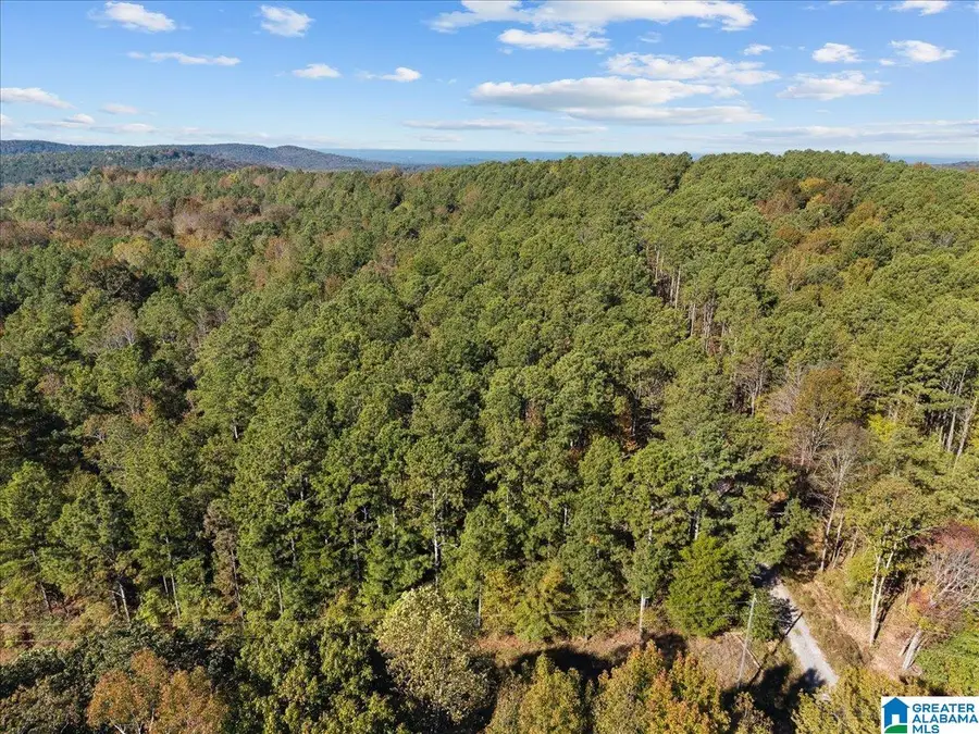 0 COUNTY HIGHWAY 45, Hayden, AL 35079 - #3