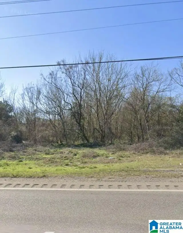5830 HIGHWAY 25, Montevallo, AL 35115 - #1