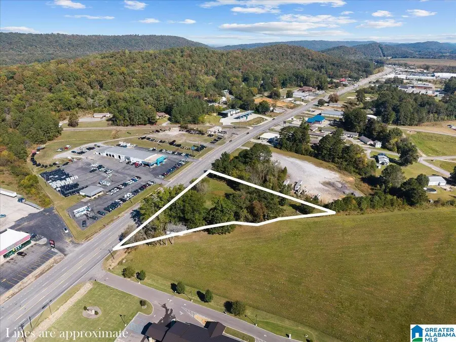 1609 2ND AVENUE E, Oneonta, AL 35121 - #2