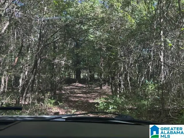 2479 PARSONS LOOP ROAD, Mulga, AL 35118 - #1