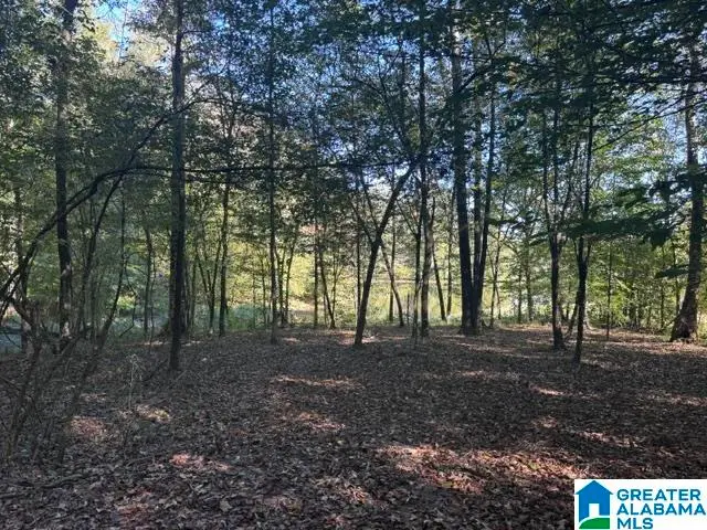 2479 PARSONS LOOP ROAD, Mulga, AL 35118 - #2